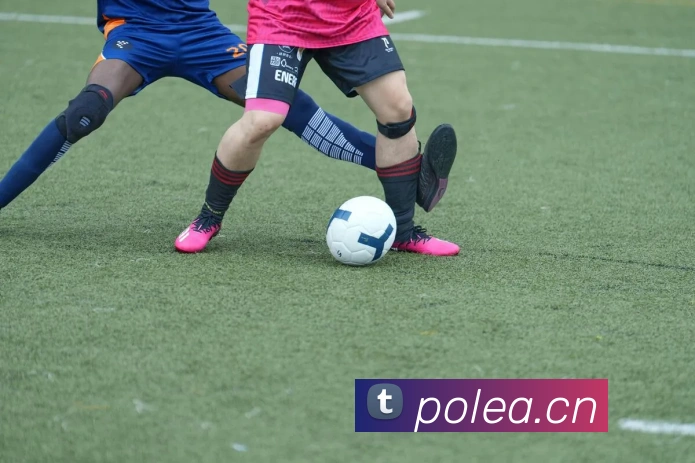 九游体育官方下载入口全站App